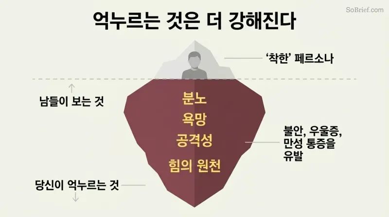Iceberg diagram with a small "nice" persona visible above a waterline and a massive shadow shape below containing repressed anger, desire, and power.