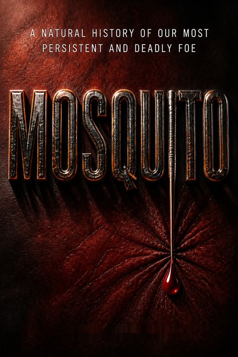 Mosquito by Andrew Spielman