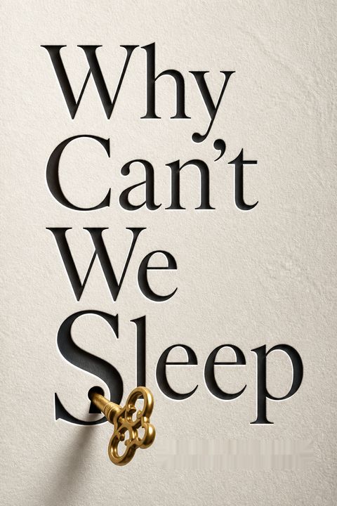 Why Can't We Sleep by Darian Leader