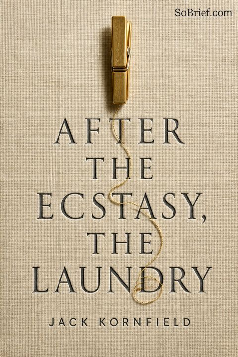After the Ecstasy, the Laundry