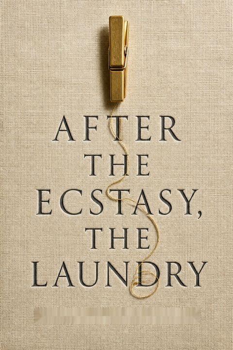 After the Ecstasy, the Laundry