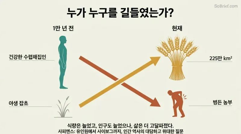 Crossing trajectories show wheat rising from wild grass to global dominance while human wellbeing falls from healthy forager to broken farmer.