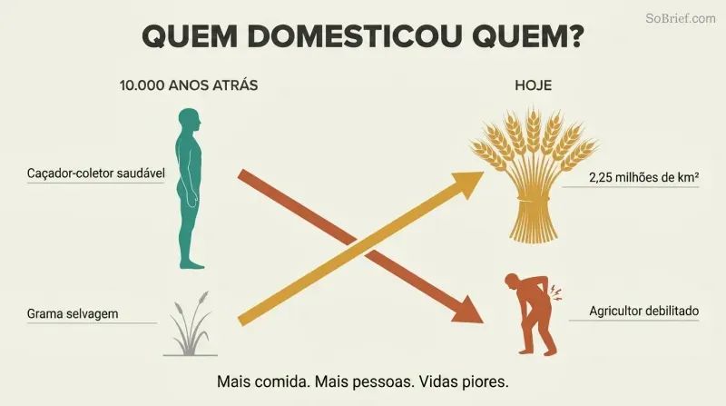 Crossing trajectories show wheat rising from wild grass to global dominance while human wellbeing falls from healthy forager to broken farmer.
