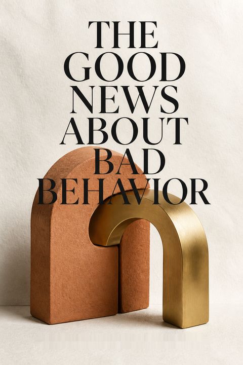The Good News About Bad Behavior by Katherine Reynolds Lewis