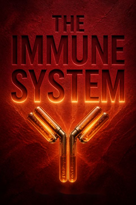 The Immune System by Paul Klenerman