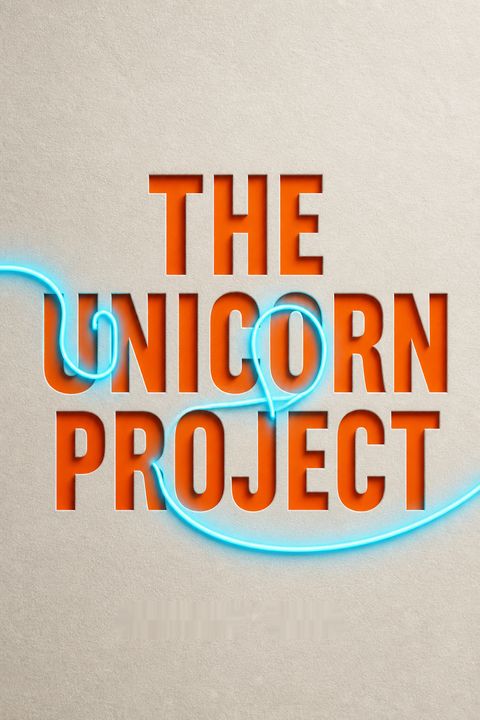 The Unicorn Project