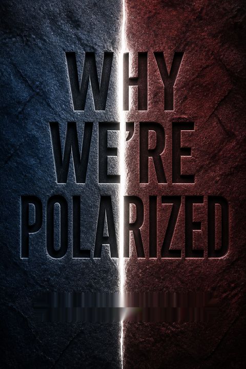 Why We're Polarized