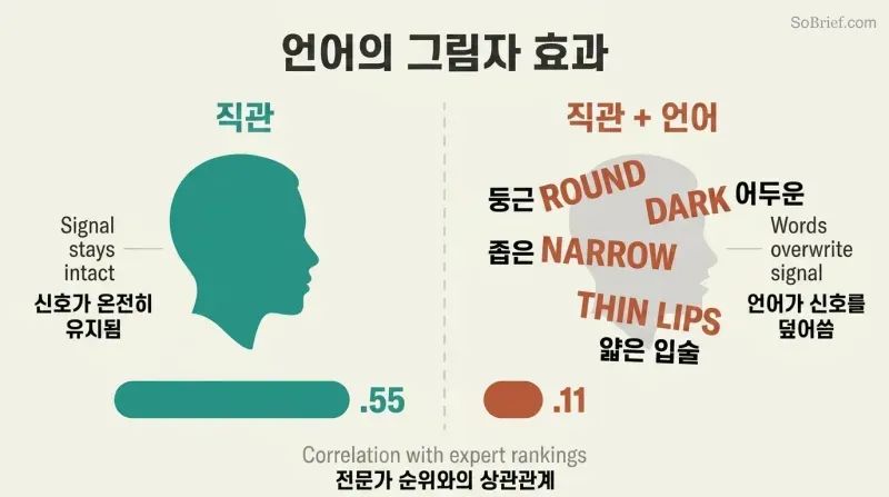 Split panel contrasting a clear face silhouette with a word-obscured face, with accuracy bars dropping from .55 to .11.