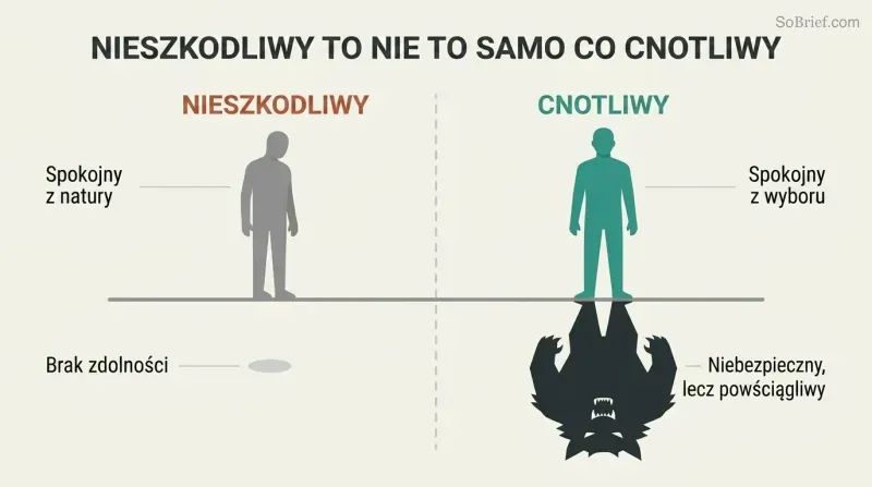 Split comparison of two calm silhouette figures whose shadows reveal different natures — one small and meek, the other large with sharp teeth — contrasting weakness with chosen restraint.