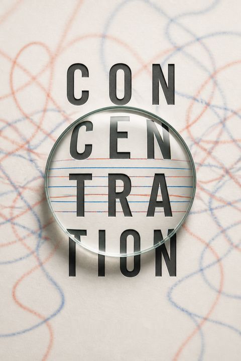 Concentration by Stefan van der Stigchel