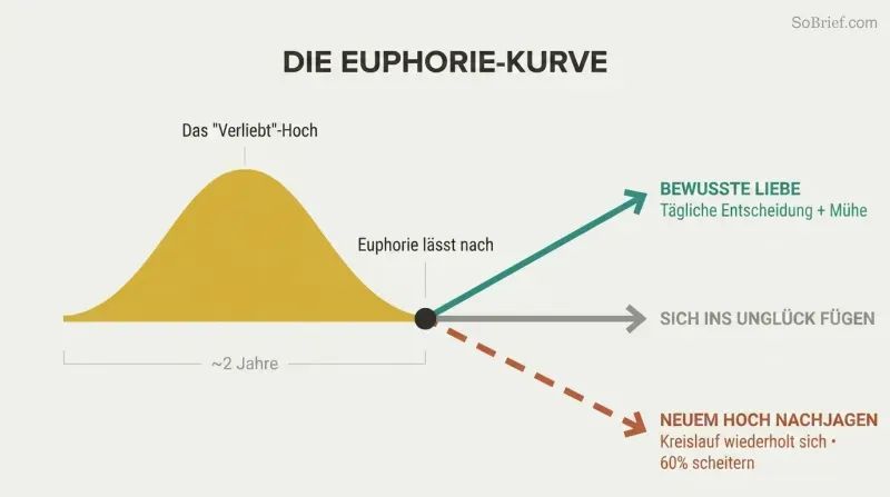 Gold arc of euphoria peaks then fades, splitting into three diverging paths: intentional love, resignation, or repeating the cycle.