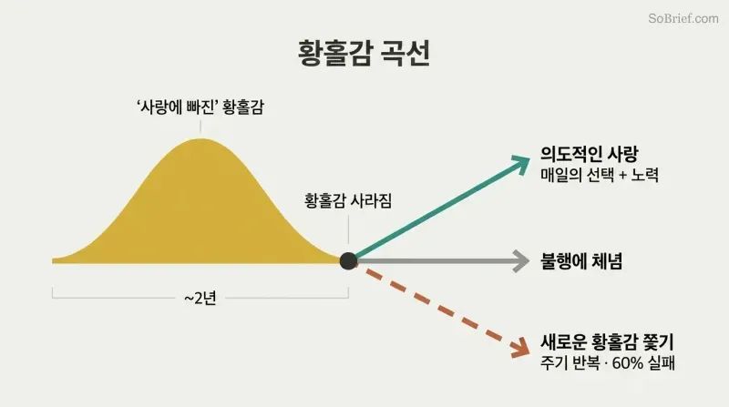 Gold arc of euphoria peaks then fades, splitting into three diverging paths: intentional love, resignation, or repeating the cycle.