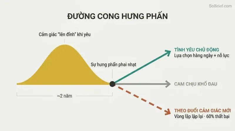 Gold arc of euphoria peaks then fades, splitting into three diverging paths: intentional love, resignation, or repeating the cycle.