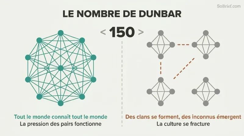 Split panel contrasting a densely interconnected network of people below 150 with fragmented isolated clusters above 150, divided by a threshold line.