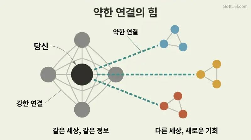 Network diagram showing a dense central cluster of close friends connected by gray lines, with teal bridge lines reaching three separate colored clusters representing different social worlds.