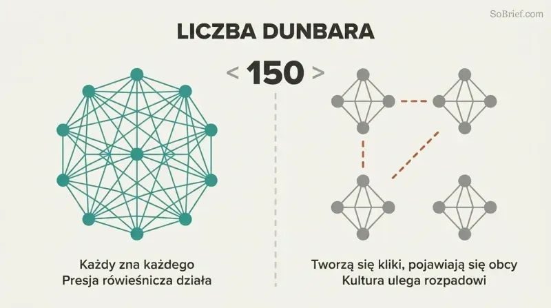 Split panel contrasting a densely interconnected network of people below 150 with fragmented isolated clusters above 150, divided by a threshold line.