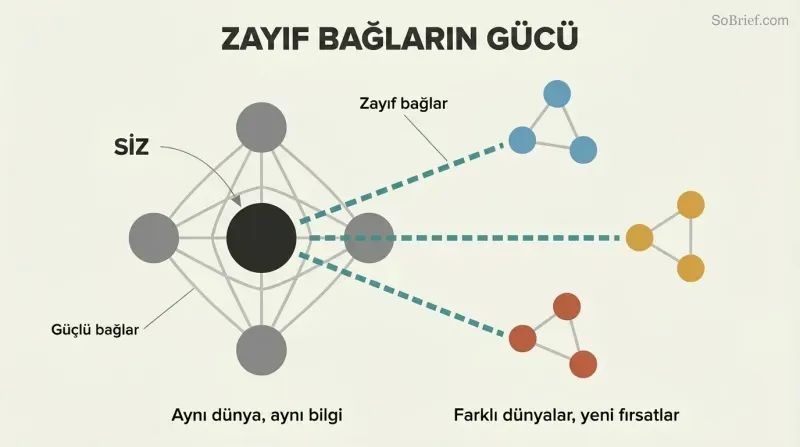 Network diagram showing a dense central cluster of close friends connected by gray lines, with teal bridge lines reaching three separate colored clusters representing different social worlds.