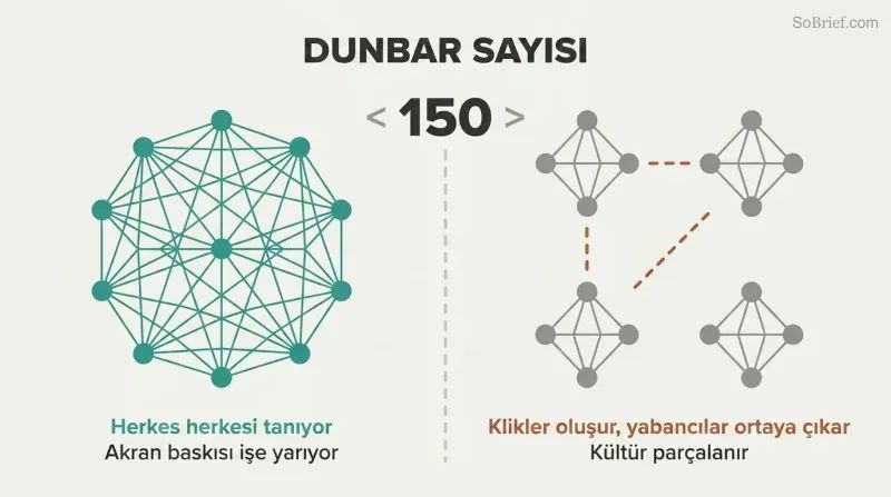 Split panel contrasting a densely interconnected network of people below 150 with fragmented isolated clusters above 150, divided by a threshold line.