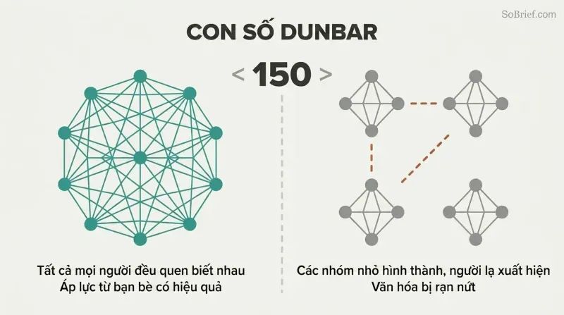 Split panel contrasting a densely interconnected network of people below 150 with fragmented isolated clusters above 150, divided by a threshold line.