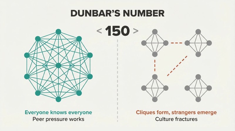 Split panel contrasting a densely interconnected network of people below 150 with fragmented isolated clusters above 150, divided by a threshold line.