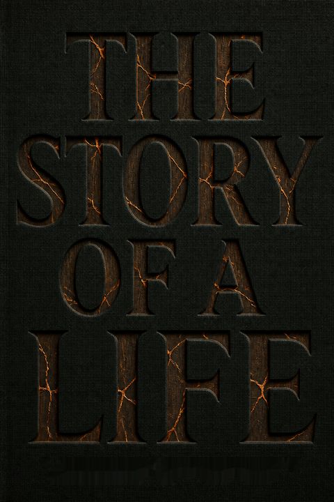 The Story of a Life by Aharon Appelfeld
