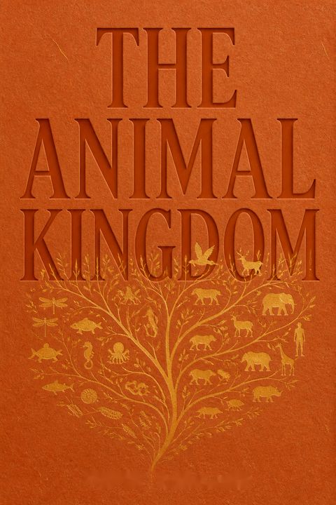 The Animal Kingdom by Peter      Holland