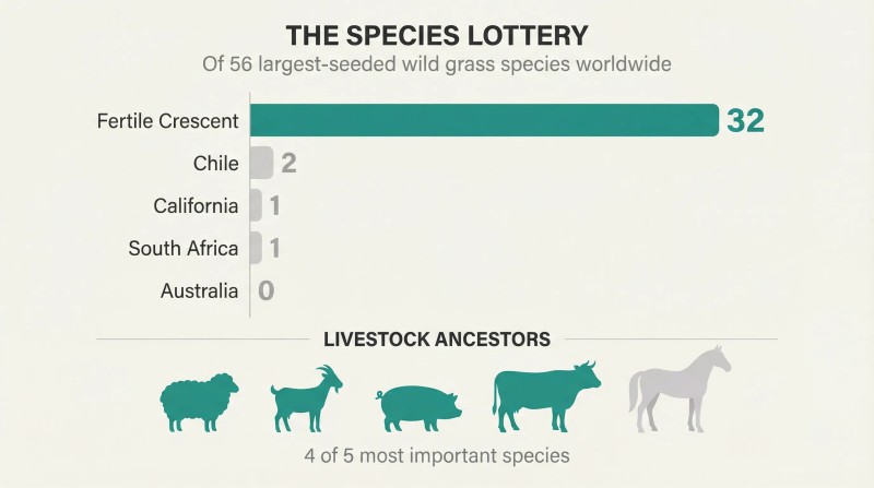 Bar chart showing the Fertile Crescent's 32 domesticable grass species dwarfing every other region's count of zero to two.