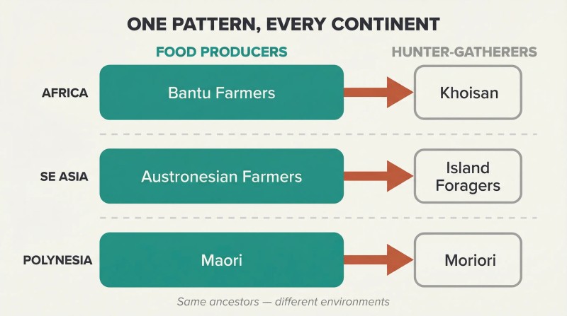 Three parallel rows showing food-producing peoples displacing hunter-gatherer groups across Africa, Southeast Asia, and Polynesia through identically structured size-contrasted rectangles and arrows.