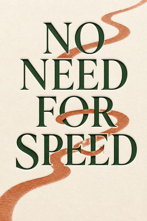 No Need for Speed by John Bingham