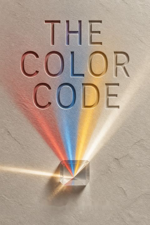 The Color Code by Taylor Hartman