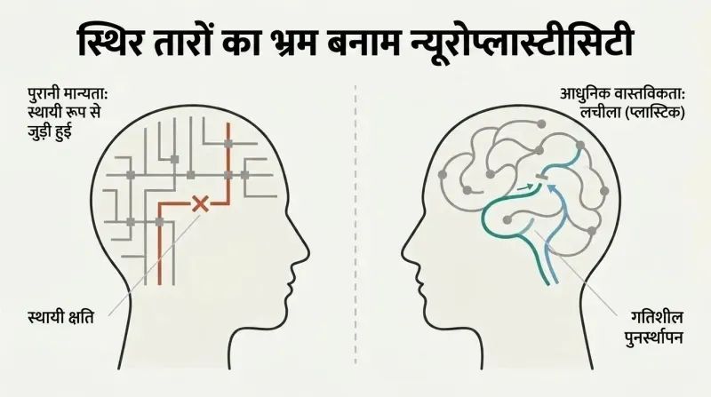 Split panel diagram comparing a rigid, hardwired machine brain to an adaptable, self-rewiring neuroplastic brain.