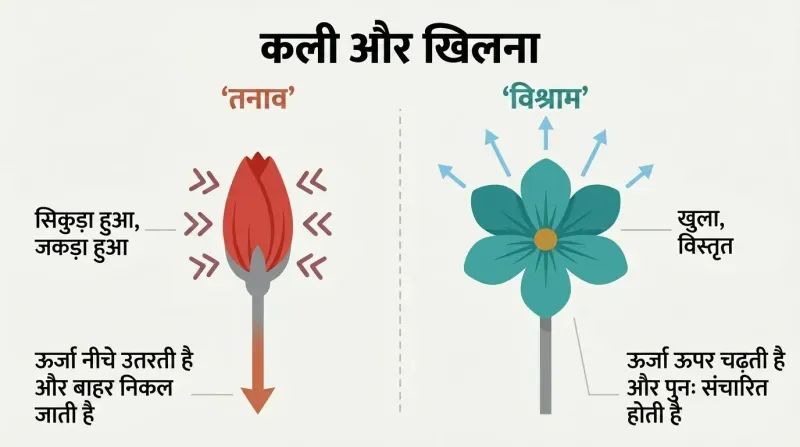 Split panel comparing a closed flower bud with downward-flowing energy on the left to an open blooming flower radiating energy upward on the right.