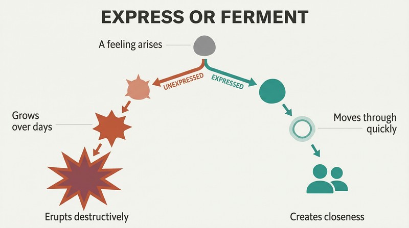 Fork diagram showing a feeling that, if expressed, dissolves into closeness, but if unexpressed, ferments and grows into a large destructive emotional eruption.