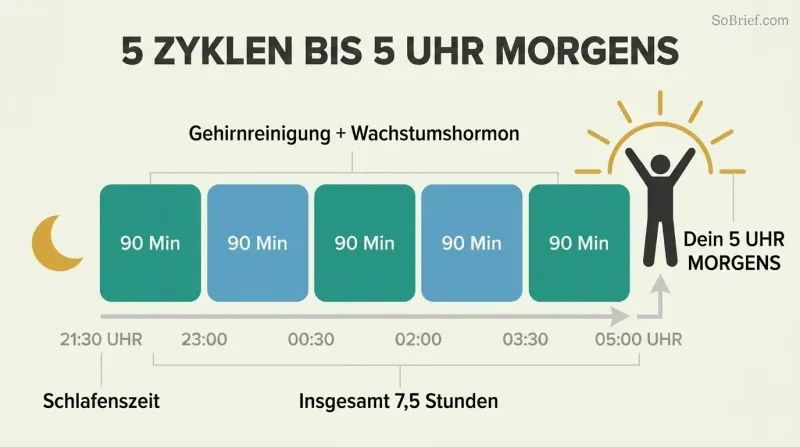 Five sequential 90-minute sleep cycle blocks spanning 9:30 PM to 5 AM form a platform from which a sunrise silhouette and energized figure rise.