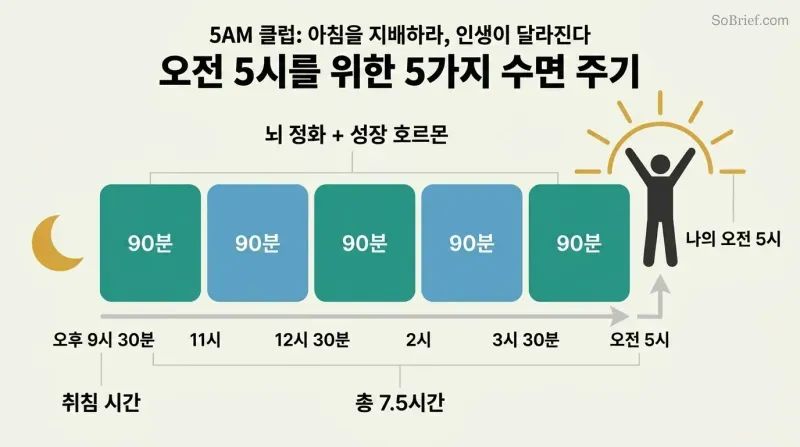 Five sequential 90-minute sleep cycle blocks spanning 9:30 PM to 5 AM form a platform from which a sunrise silhouette and energized figure rise.