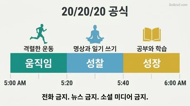 Horizontal bar divided into three equal colored segments representing Move, Reflect, and Grow, each with an icon and time stamp spanning 5:00 to 6:00 AM.