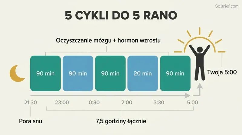Five sequential 90-minute sleep cycle blocks spanning 9:30 PM to 5 AM form a platform from which a sunrise silhouette and energized figure rise.