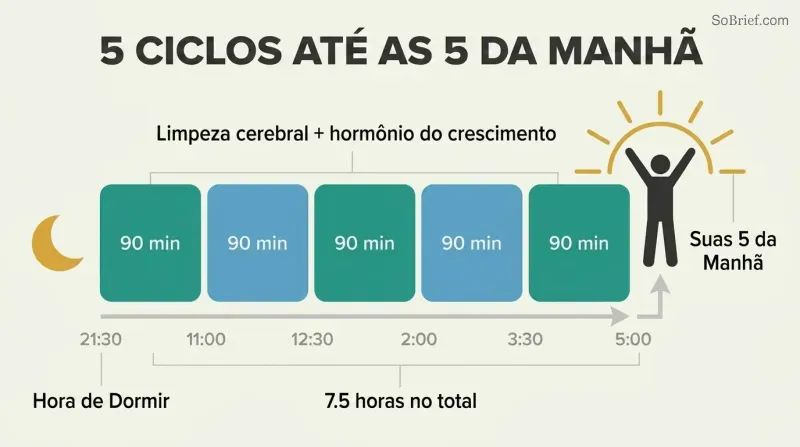 Five sequential 90-minute sleep cycle blocks spanning 9:30 PM to 5 AM form a platform from which a sunrise silhouette and energized figure rise.