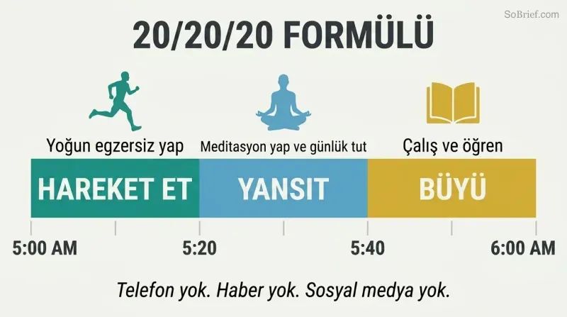 Horizontal bar divided into three equal colored segments representing Move, Reflect, and Grow, each with an icon and time stamp spanning 5:00 to 6:00 AM.