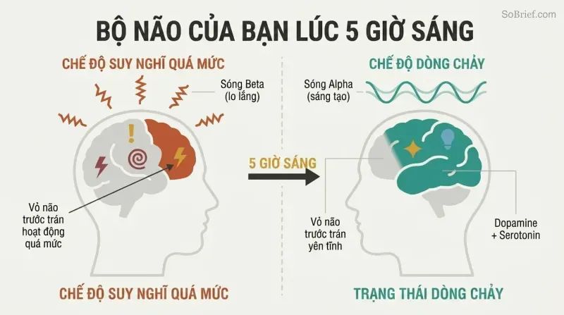 Split panel comparing two brain states: a chaotic overthinking brain with jagged beta waves on the left versus a calm creative brain with smooth alpha waves and flow state on the right.