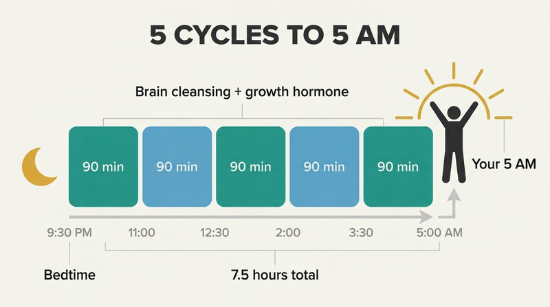 Five sequential 90-minute sleep cycle blocks spanning 9:30 PM to 5 AM form a platform from which a sunrise silhouette and energized figure rise.