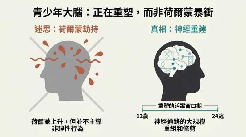 A side-by-side comparison debunking the myth of hormonal hijacking of teens, showing the real cause is long-term brain remodeling.