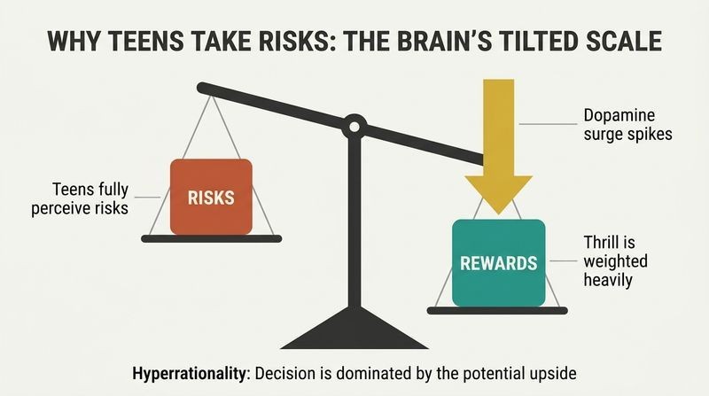 A tilted balance scale showing how a gold dopamine amplifier force pushes rewards down to dominate over known risks in the teen brain.