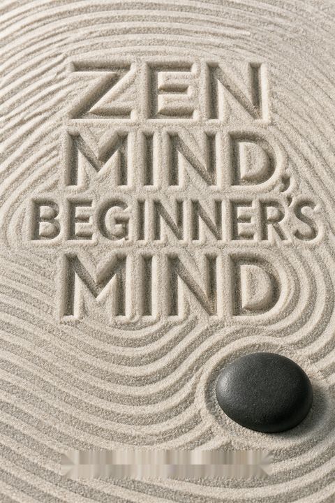 Zen-mieli, aloittelijan mieli