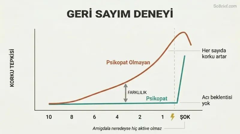 Two fear-response curves over a countdown from ten to one, showing a steadily rising line for non-psychopaths and a flat line for psychopaths that spikes only at the moment of shock.