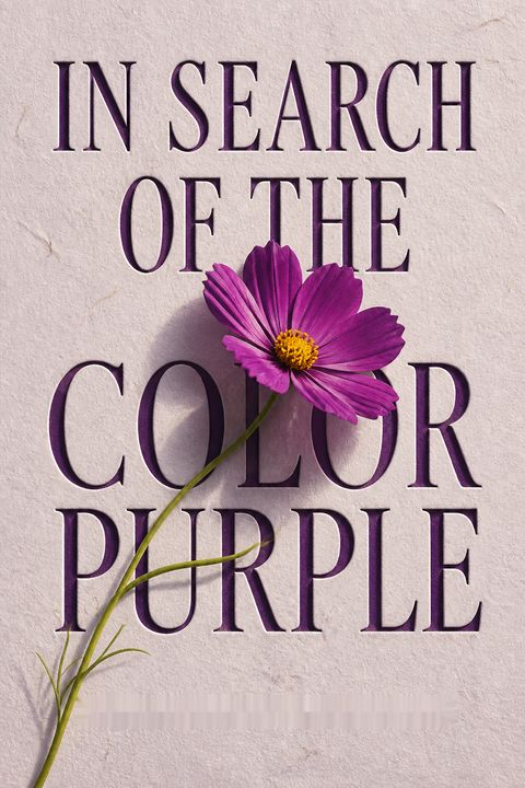 In Search of The Color Purple by Salamishah Tillet