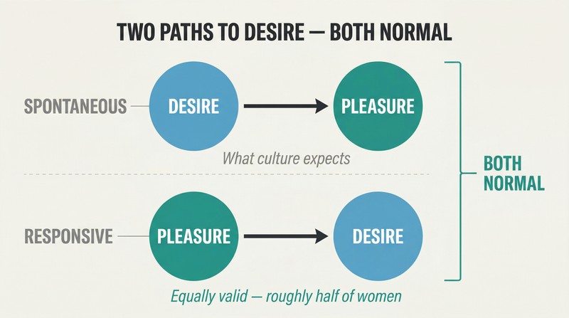 Split panel showing two horizontal sequences: spontaneous desire flowing from wanting to pleasure, and responsive desire flowing from pleasure to wanting, both marked as equally normal.