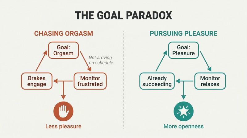 Split panel comparing two feedback loops: chasing orgasm creates a frustration cycle that hits the brakes, while pursuing pleasure creates a relaxation cycle that opens possibility.