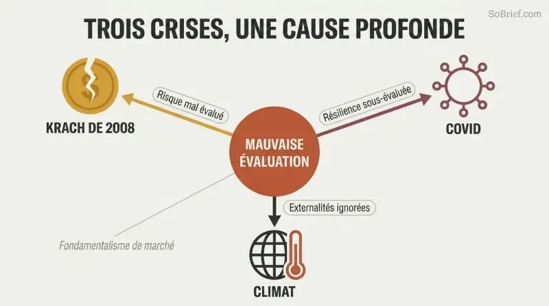Hub-and-spoke diagram with misvaluation at the center radiating outward to three crises — the 2008 crash, Covid, and climate — each labeled with what markets failed to price.