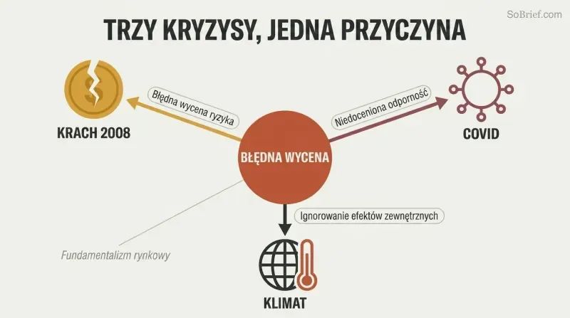 Hub-and-spoke diagram with misvaluation at the center radiating outward to three crises — the 2008 crash, Covid, and climate — each labeled with what markets failed to price.